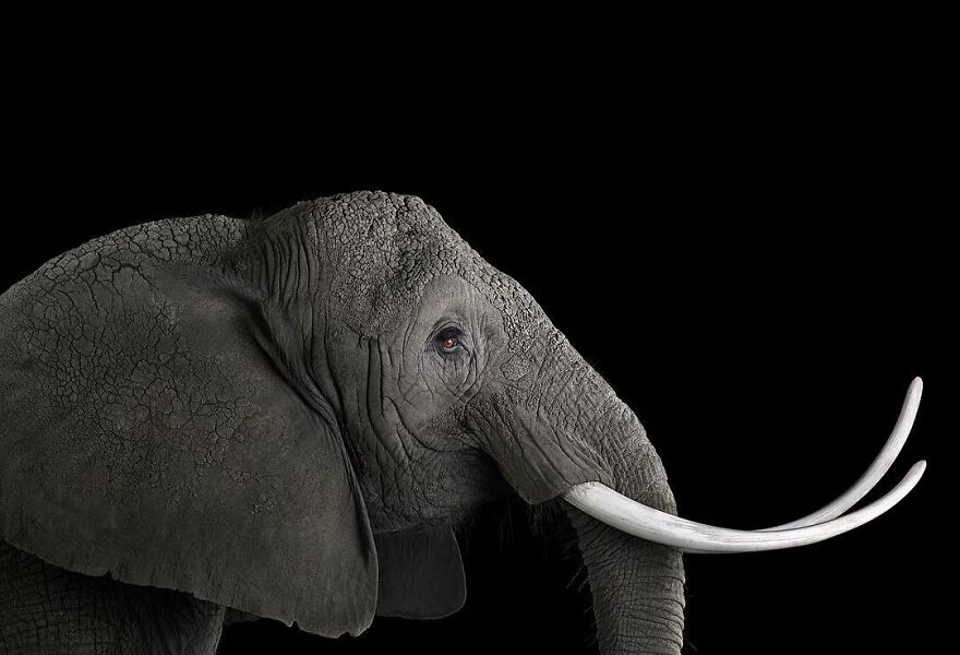 Brad Wilson's Photography -Interview With Artist