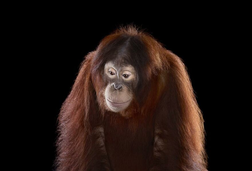 Brad Wilson's Photography -Interview With Artist