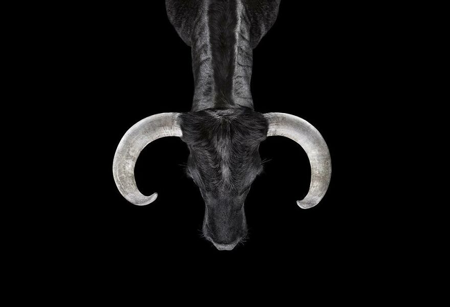 Brad Wilson's Photography -Interview With Artist