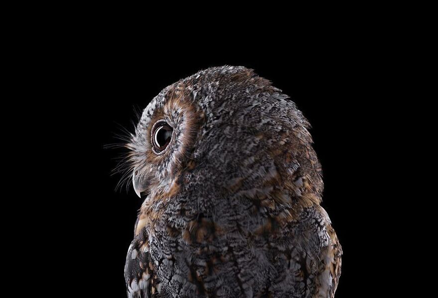 Brad Wilson's Photography -Interview With Artist