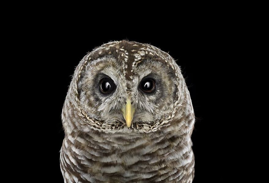 Brad Wilson's Photography -Interview With Artist