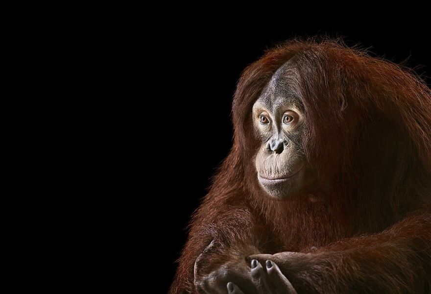 Brad Wilson's Photography -Interview With Artist