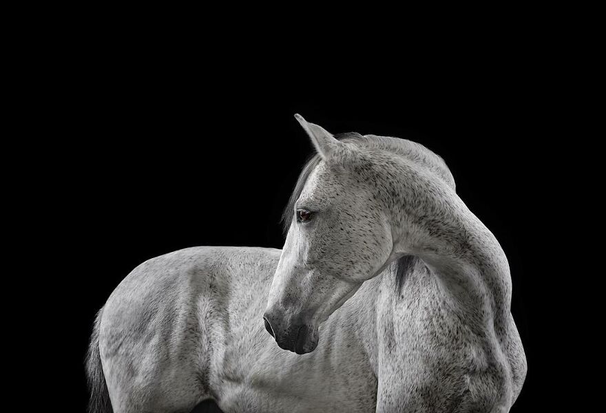 Brad Wilson's Photography -Interview With Artist