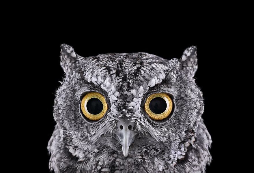 Brad Wilson's Photography -Interview With Artist