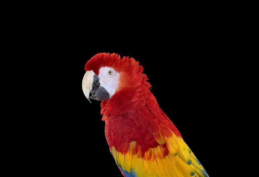 Brad Wilson's Photography -Interview With Artist