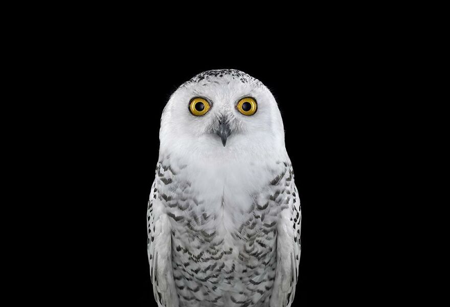 Brad Wilson's Photography -Interview With Artist