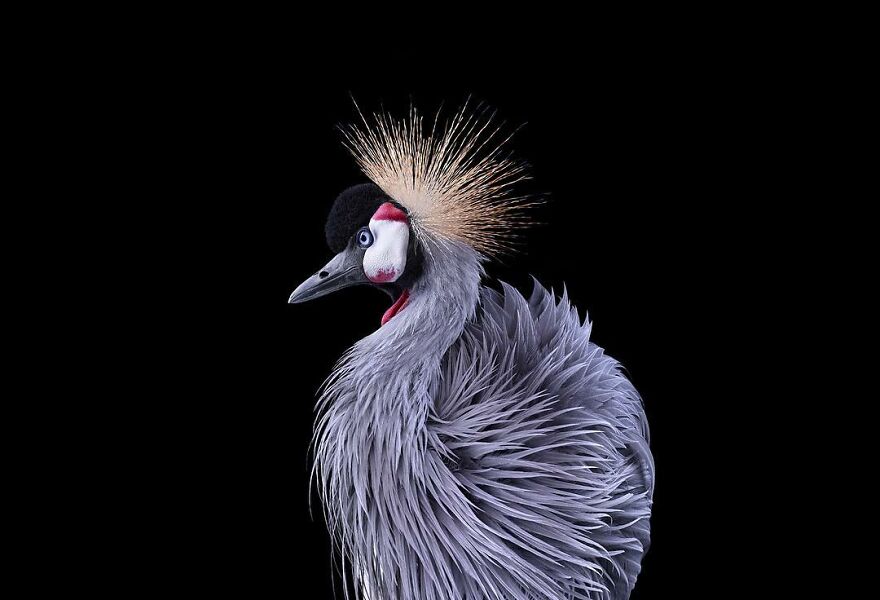 Brad Wilson's Photography -Interview With Artist