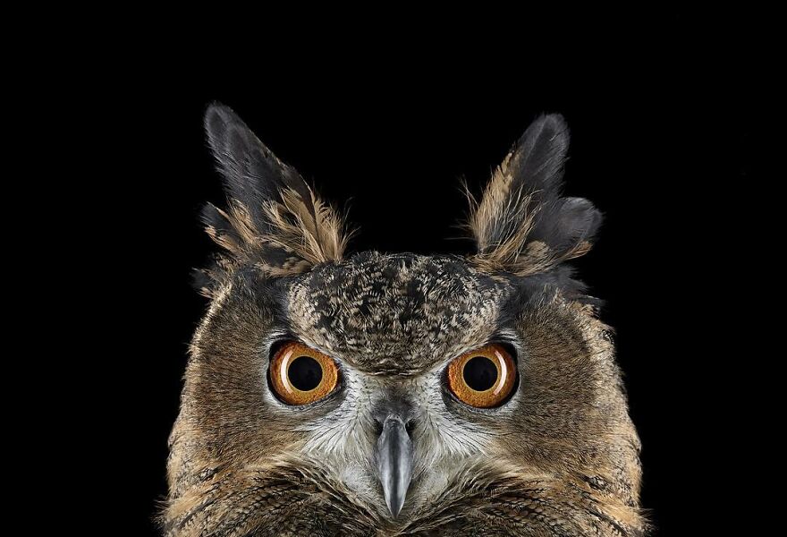 Brad Wilson's Photography -Interview With Artist