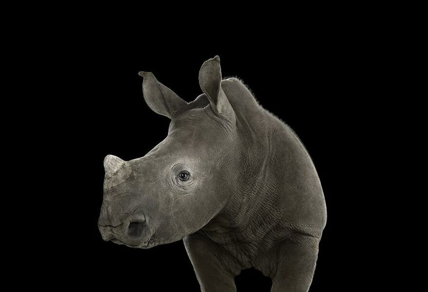 Brad Wilson's Photography -Interview With Artist