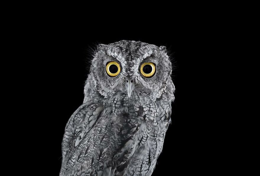 Brad Wilson's Photography -Interview With Artist