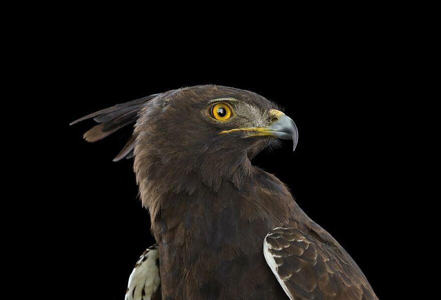 Brad Wilson's Photography -Interview With Artist