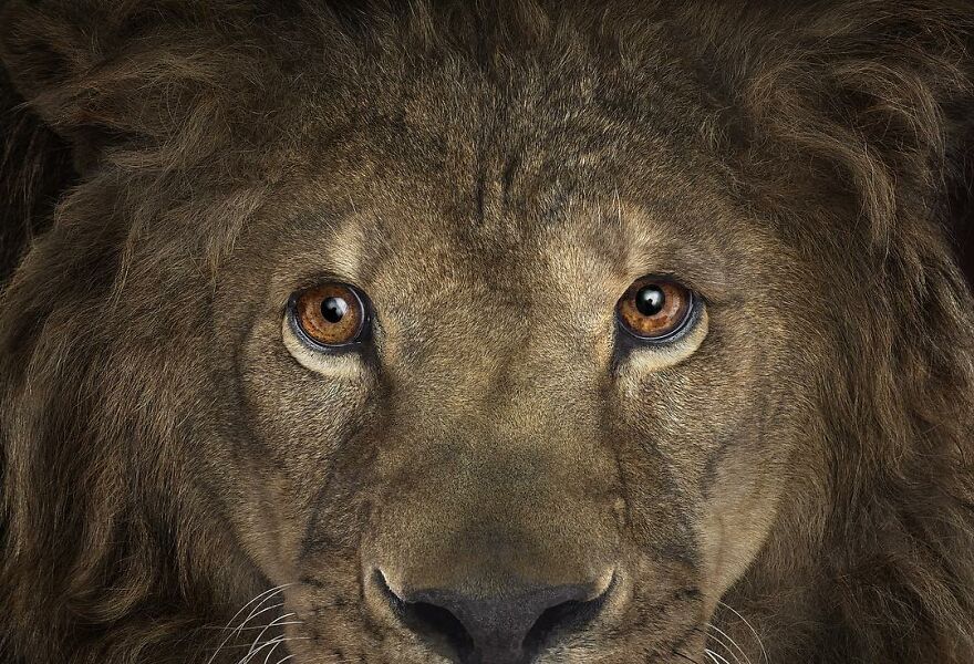 Brad Wilson's Photography -Interview With Artist