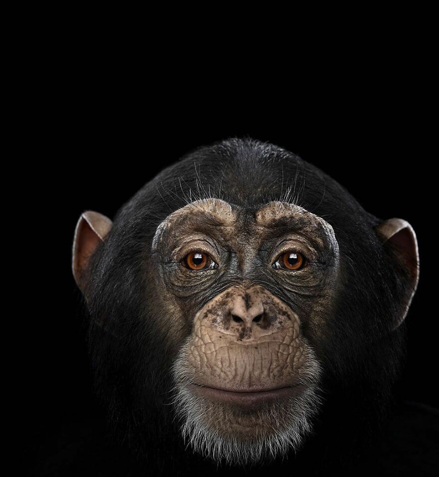 Brad Wilson's Photography -Interview With Artist