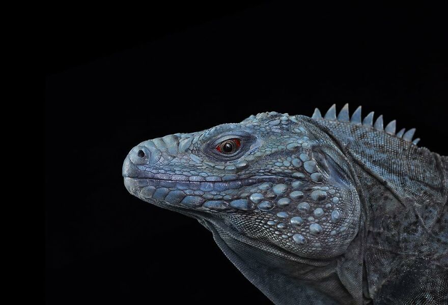 Brad Wilson's Photography -Interview With Artist