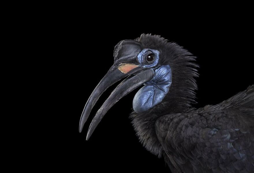 Brad Wilson's Photography -Interview With Artist