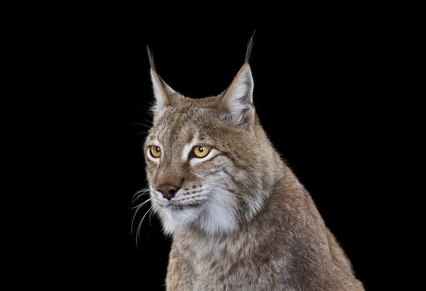 Brad Wilson's Photography -Interview With Artist