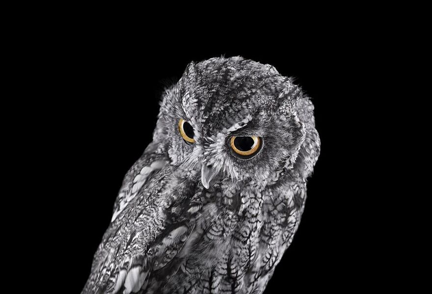 Brad Wilson's Photography -Interview With Artist