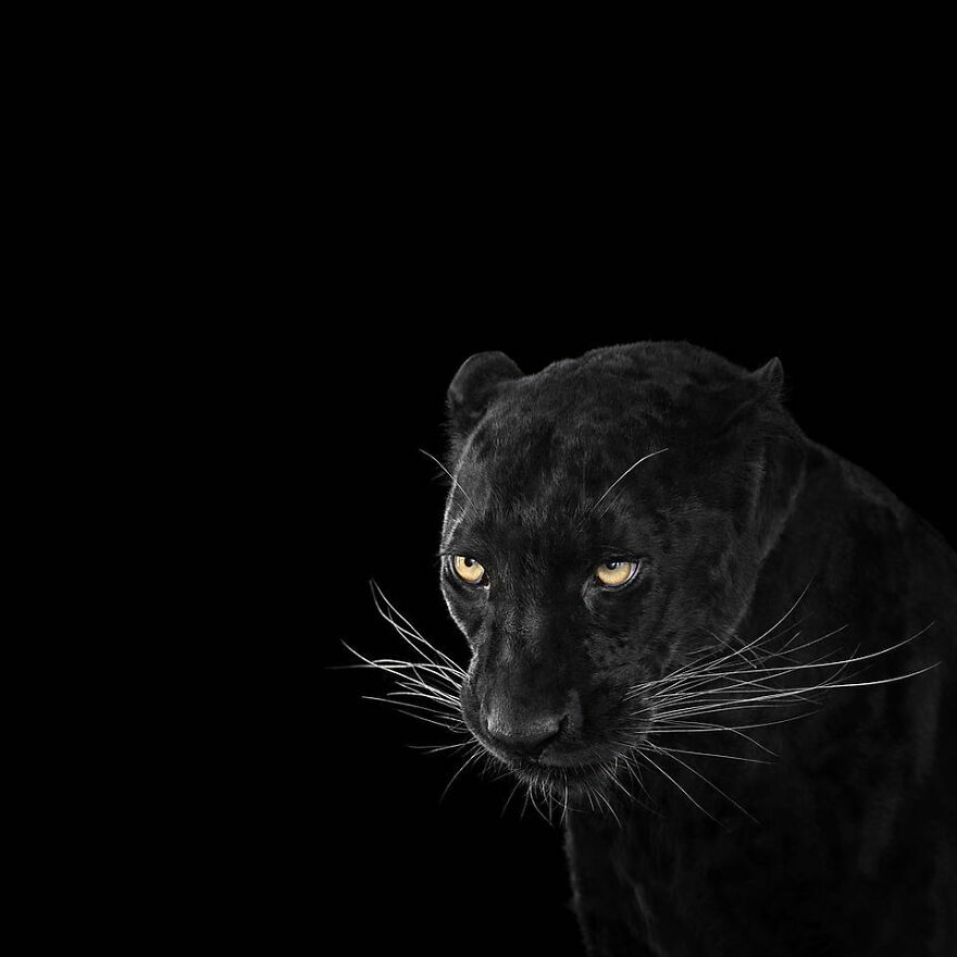 Brad Wilson's Photography -Interview With Artist