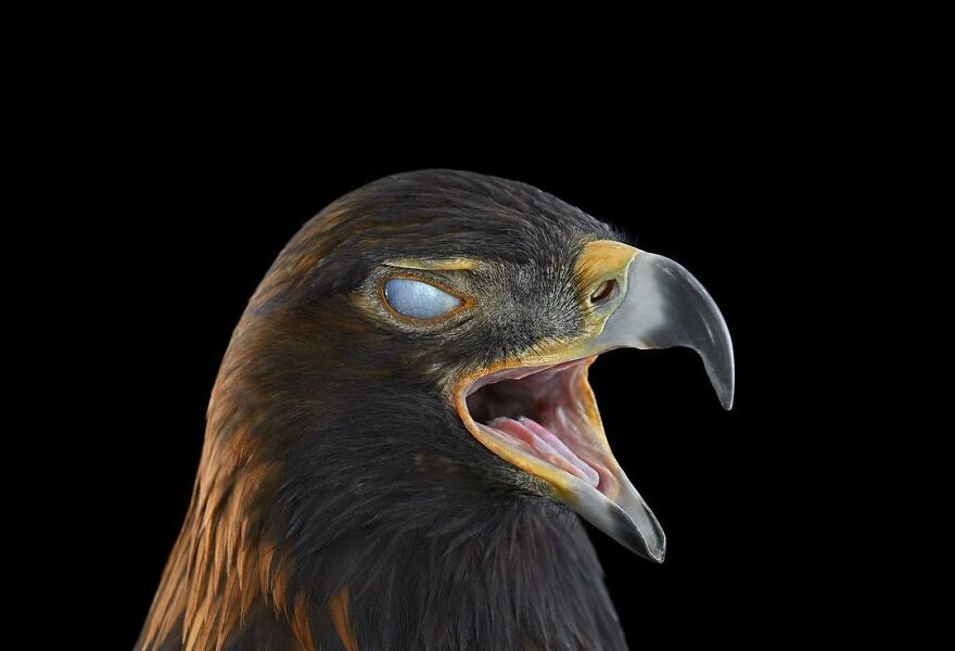 Brad Wilson's Photography -Interview With Artist