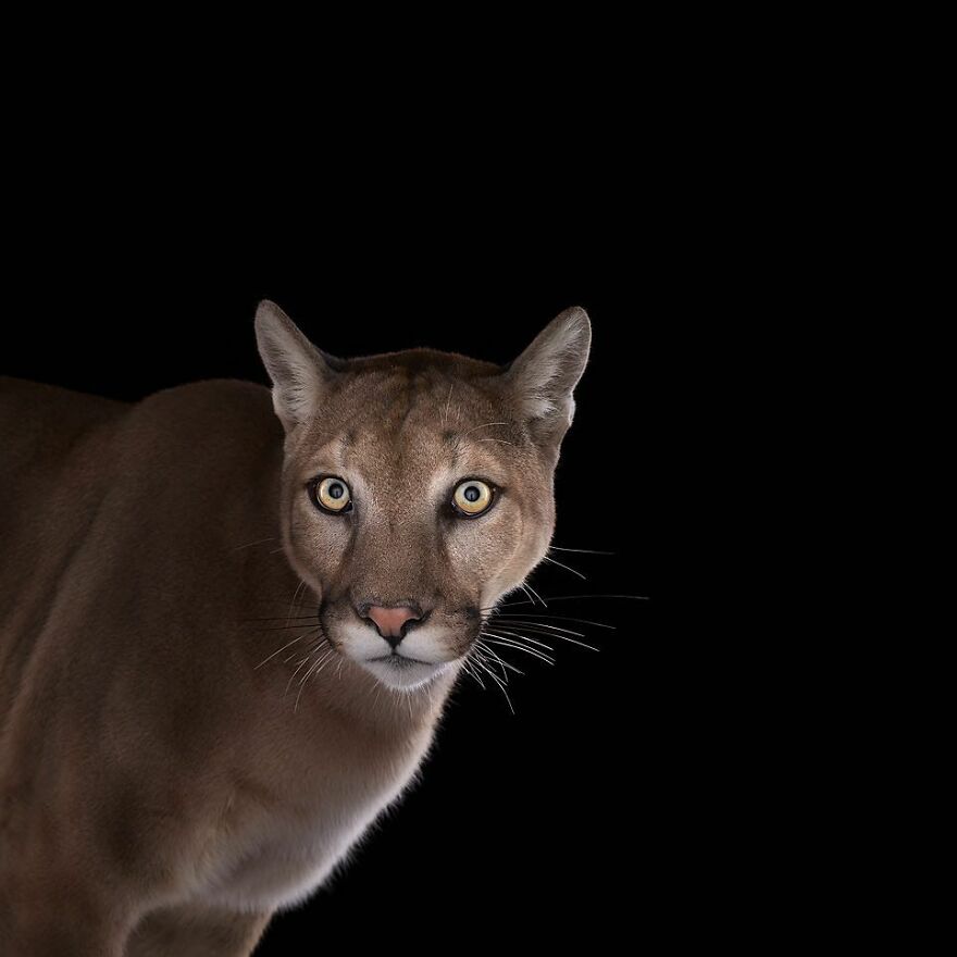 Brad Wilson's Photography -Interview With Artist