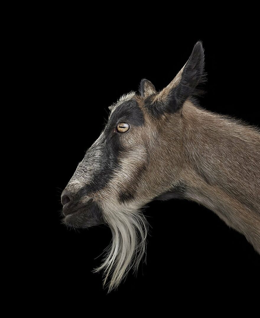 Brad Wilson's Photography -Interview With Artist