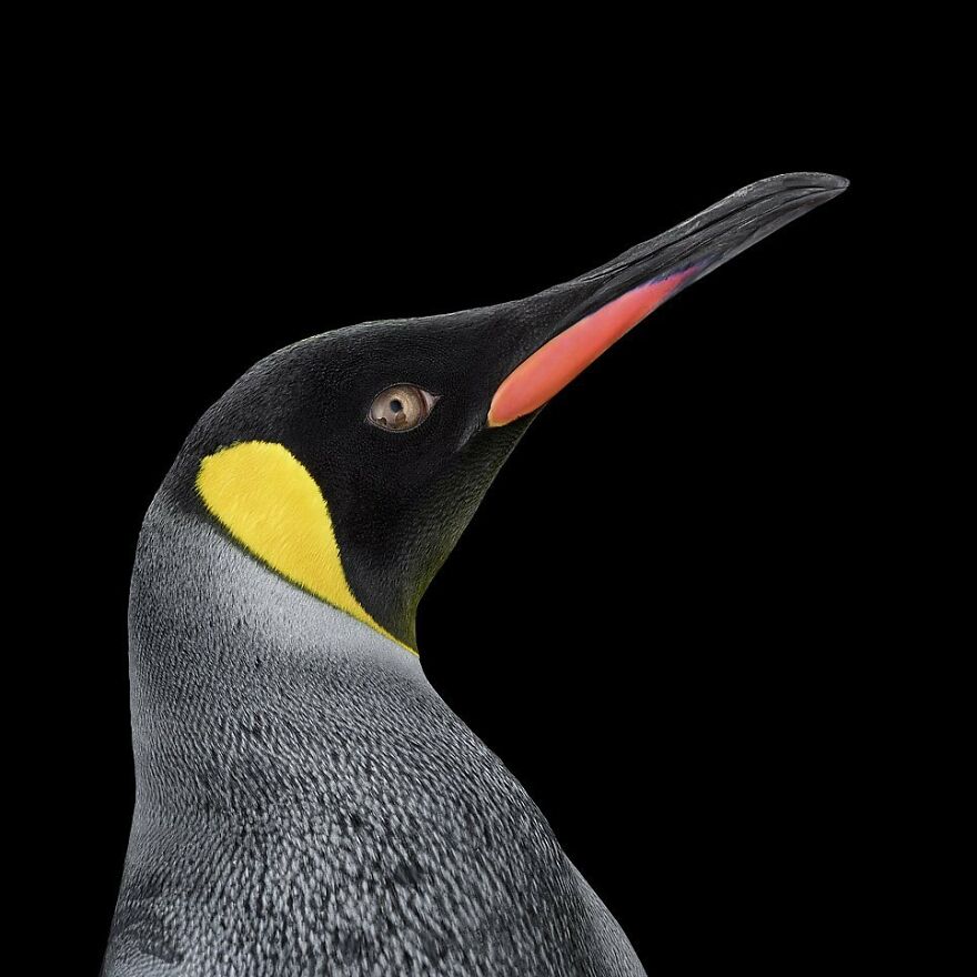 Brad Wilson's Photography -Interview With Artist