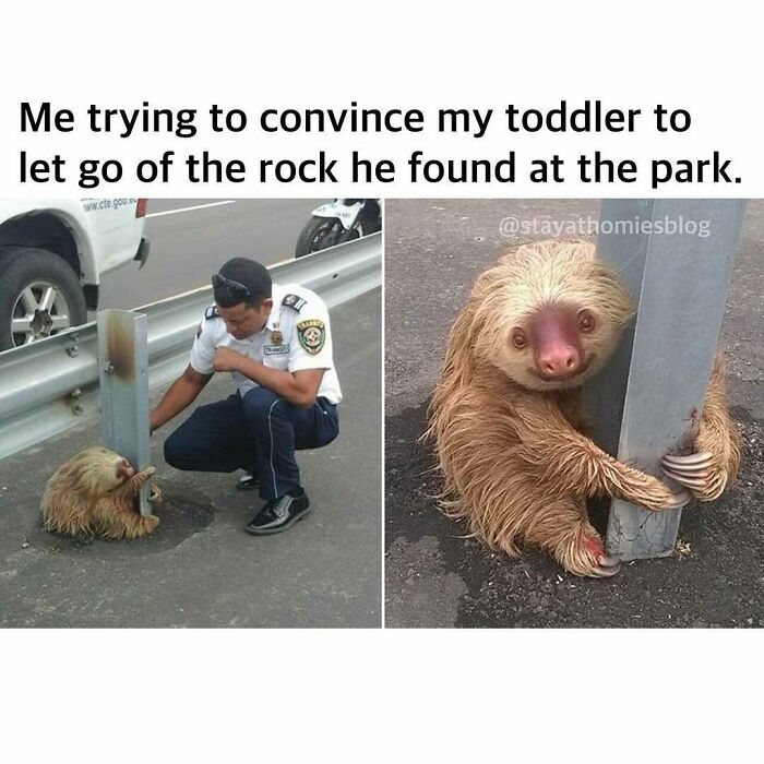 Funny-Sarcastic-Parenting-Adulting-Memes