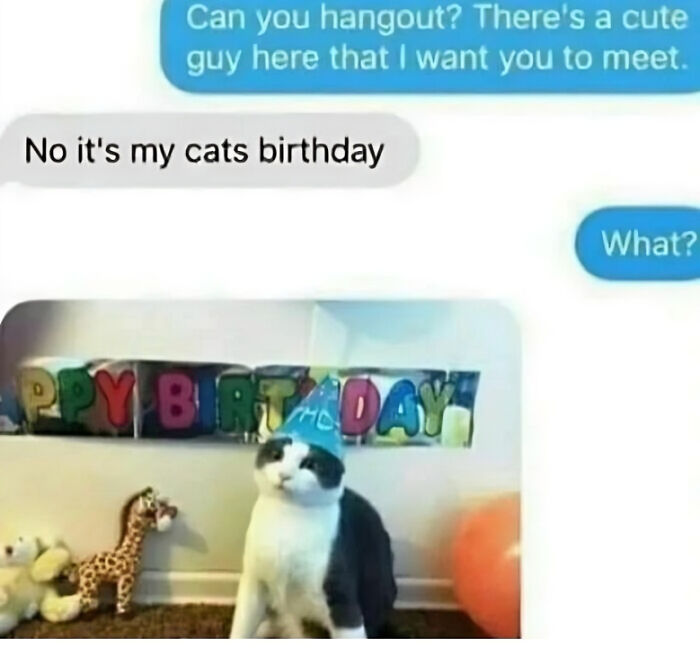 Text message meme about a cat's birthday; features a cat wearing a party hat with a colorful birthday sign behind it.