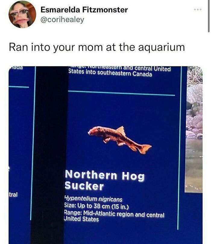 Funny-Memes-Men-Humor