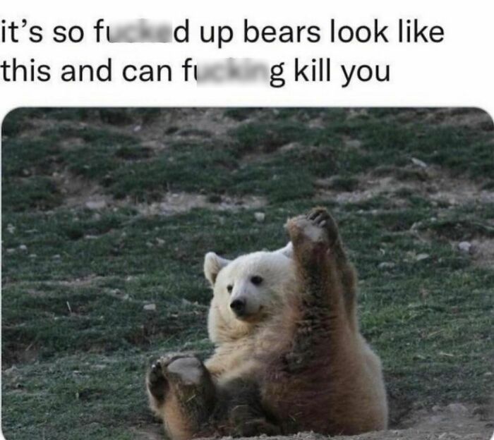 Funny-Memes-Men-Humor