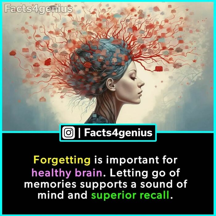 Interesting-Facts-For-Genius-Instagram
