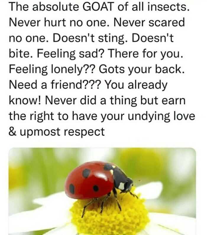 Funny-Memes-Men-Humor