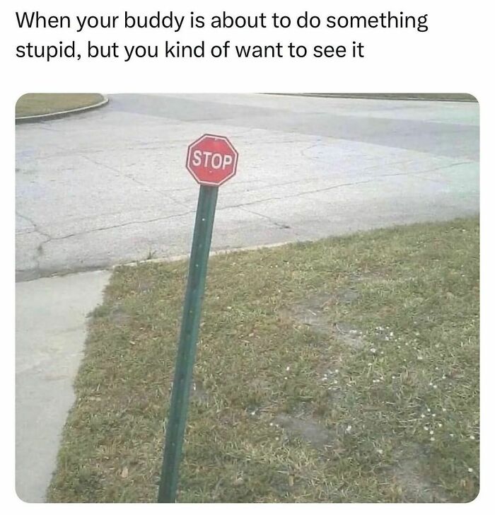 Funny-Relatable-Random-Memes