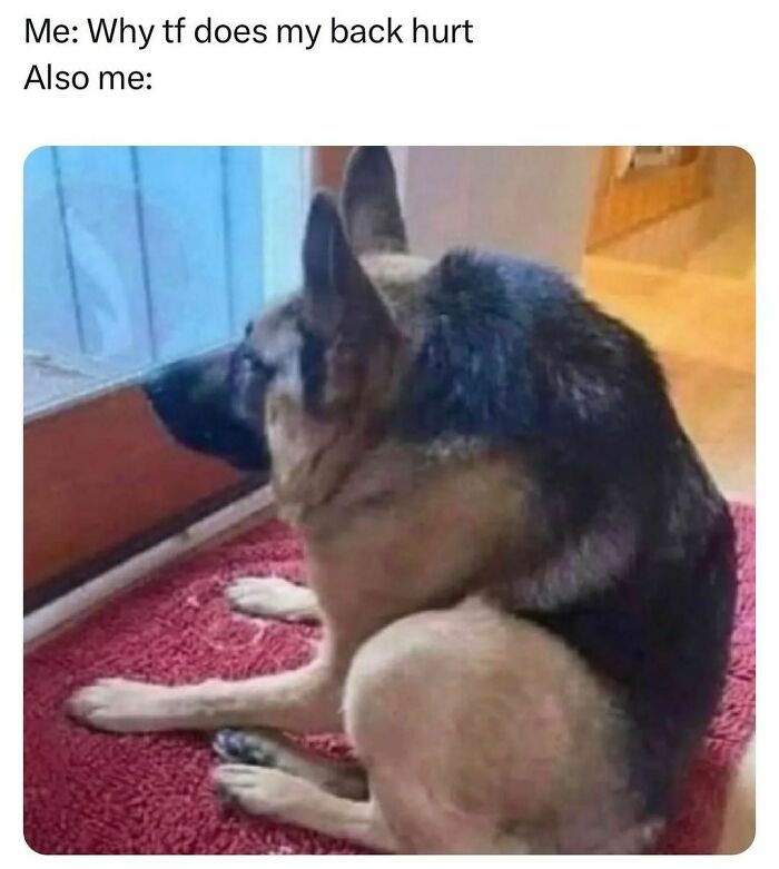 Funny-Relatable-Random-Memes