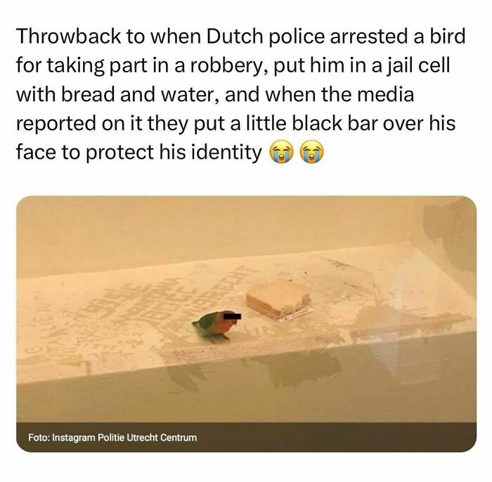 Funny-Relatable-Random-Memes