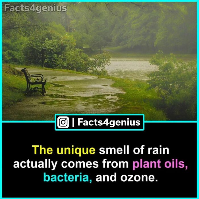 Interesting-Facts-For-Genius-Instagram