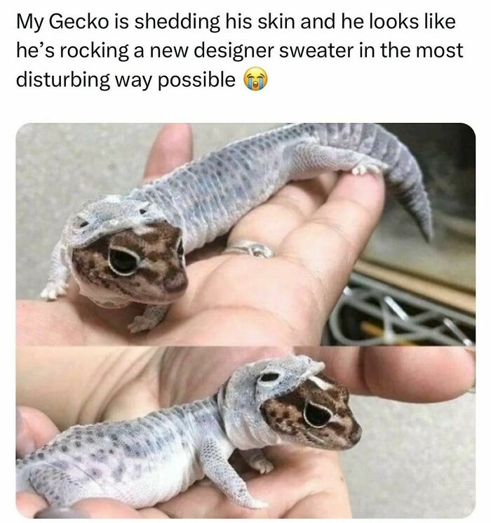 Funny-Relatable-Random-Memes