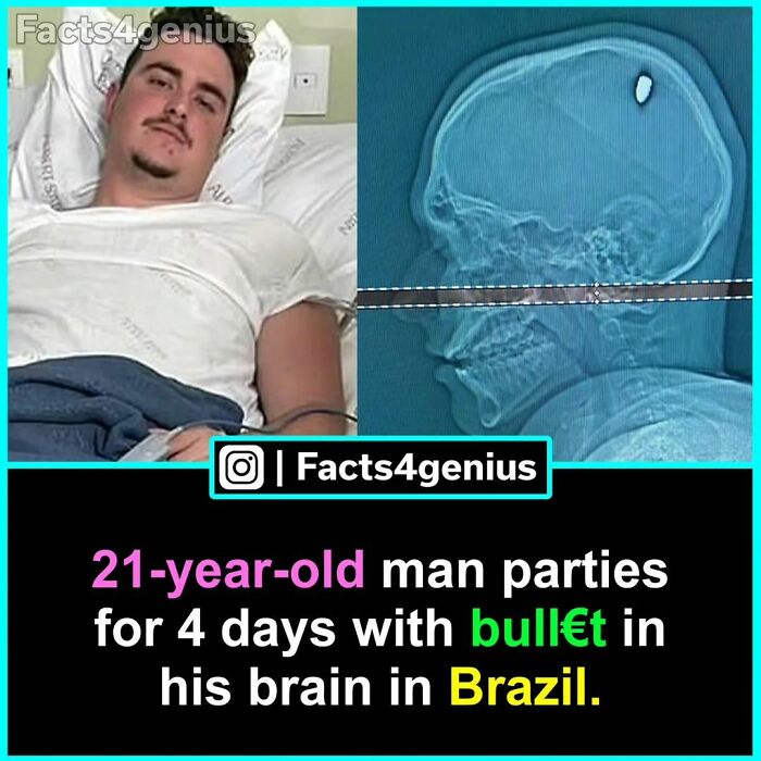 Interesting-Facts-For-Genius-Instagram
