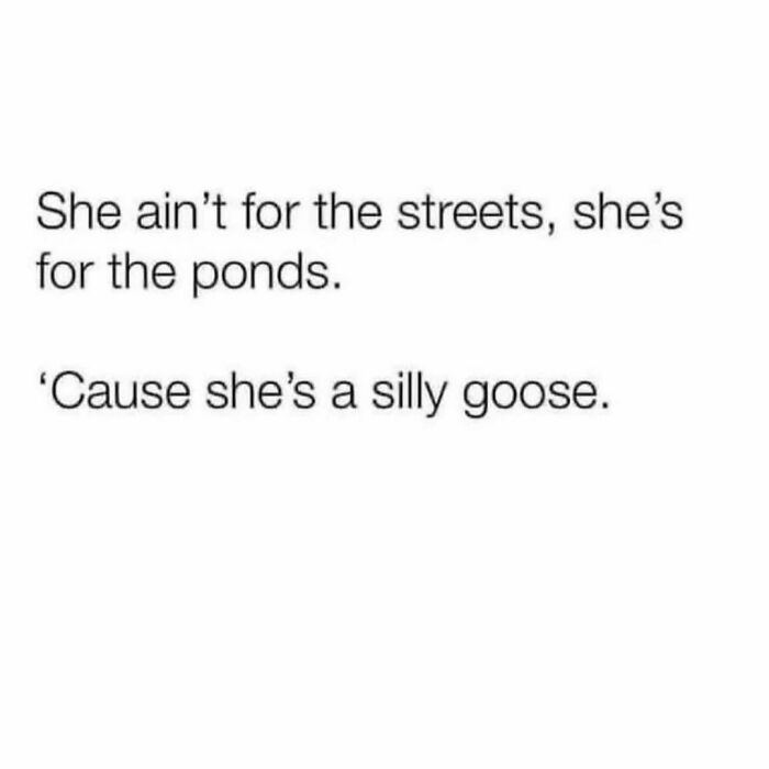 Circle-Of-Idiots-Memes-Jokes