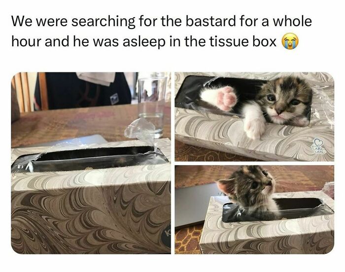 Funny-Relatable-Random-Memes