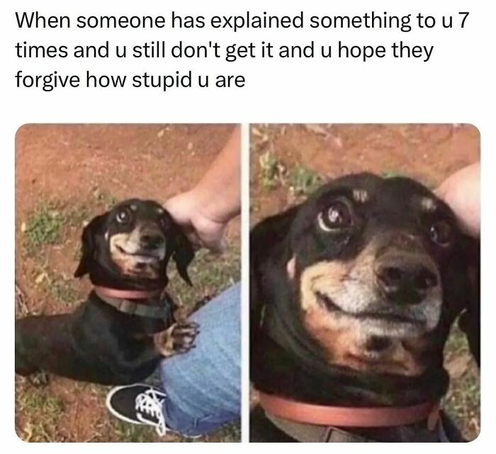 Funny-Relatable-Random-Memes