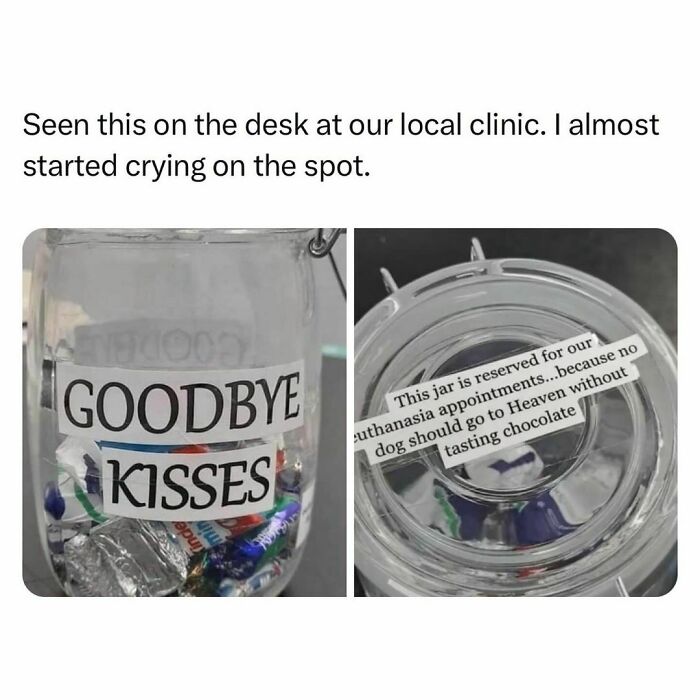 Funny-Relatable-Random-Memes