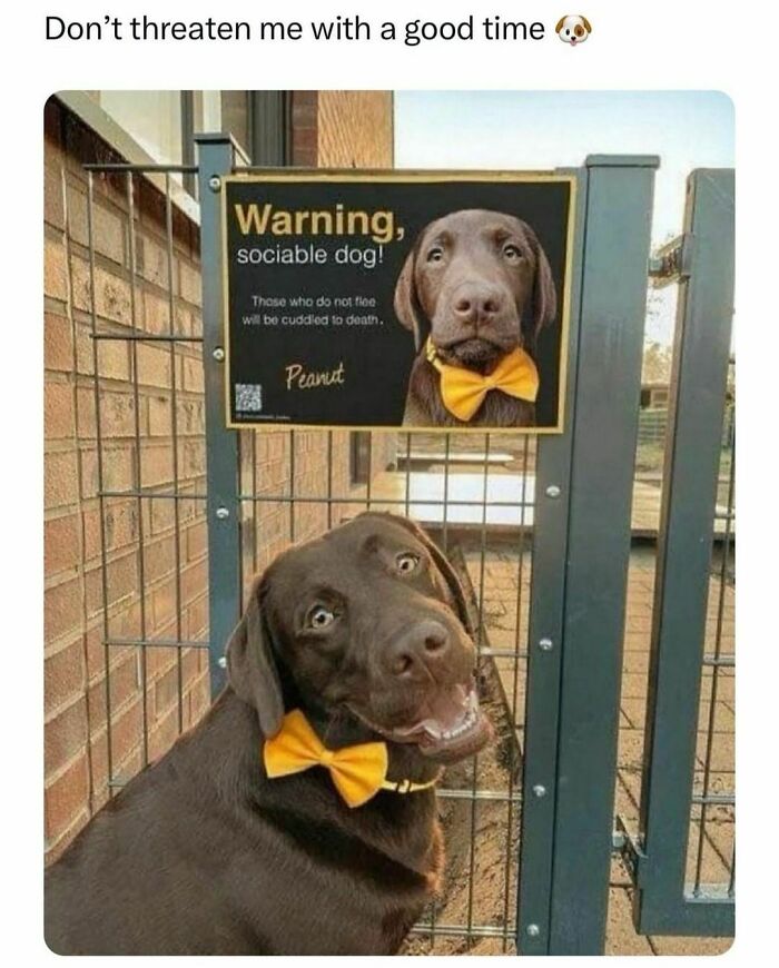 Funny-Relatable-Random-Memes