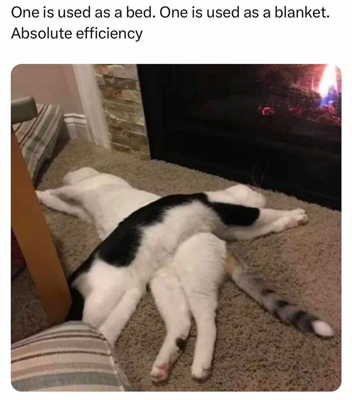 Funny-Relatable-Random-Memes