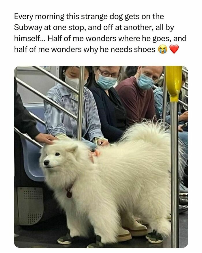 Funny-Relatable-Random-Memes