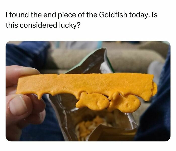 Funny-Relatable-Random-Memes