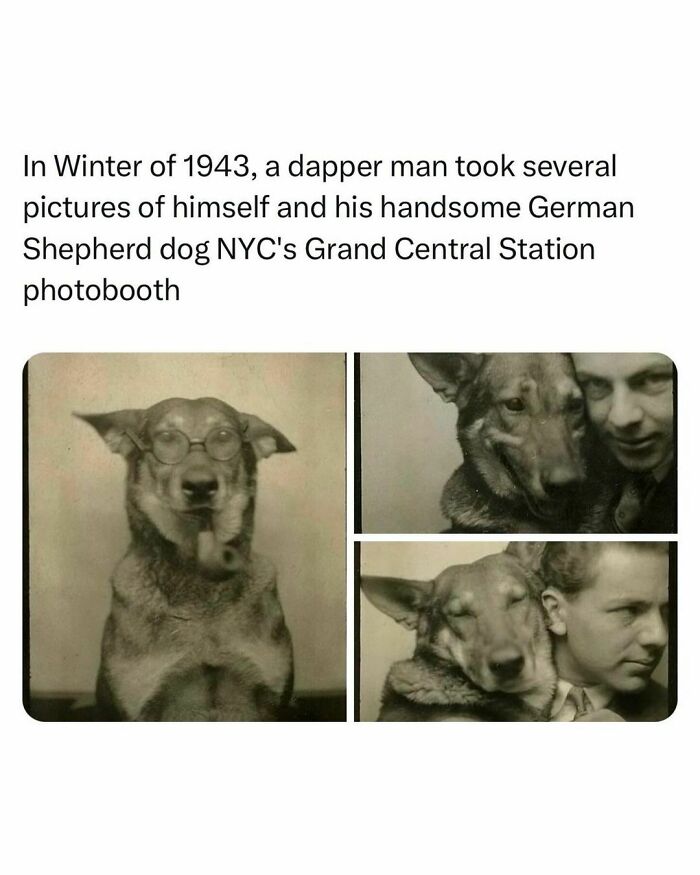 Funny-Relatable-Random-Memes