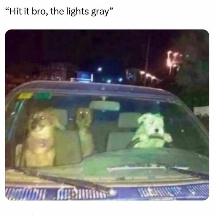 Funny-Relatable-Random-Memes