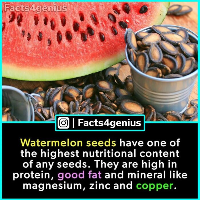 Interesting-Facts-For-Genius-Instagram