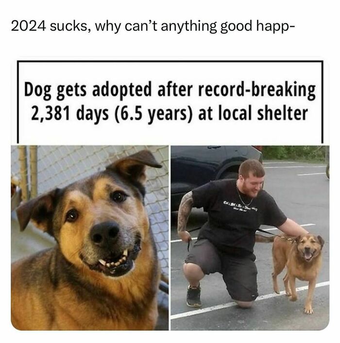 Funny-Relatable-Random-Memes